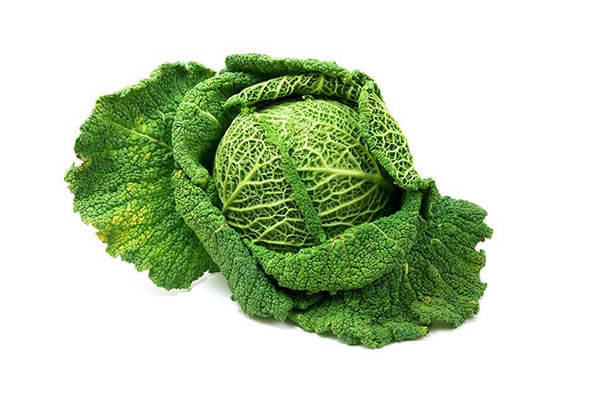 Couve Lombarda Luz do Campo