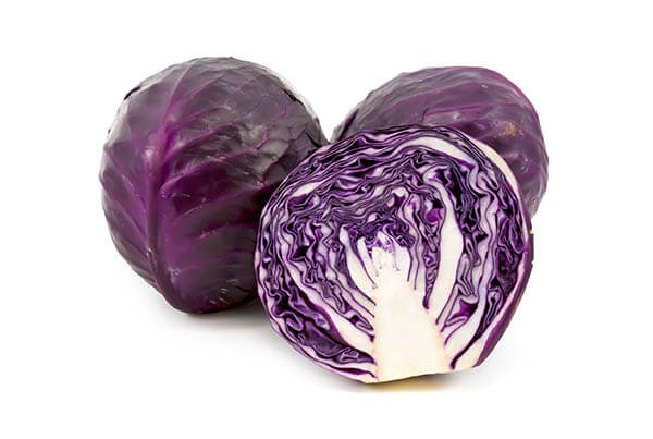 Couve Roxa Luz do Campo