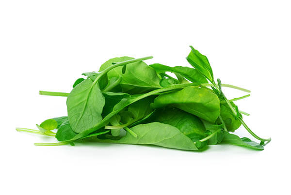 Espinafre Luz do Campo